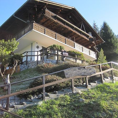 Chalet Erica Apartamento Jaun Exterior foto