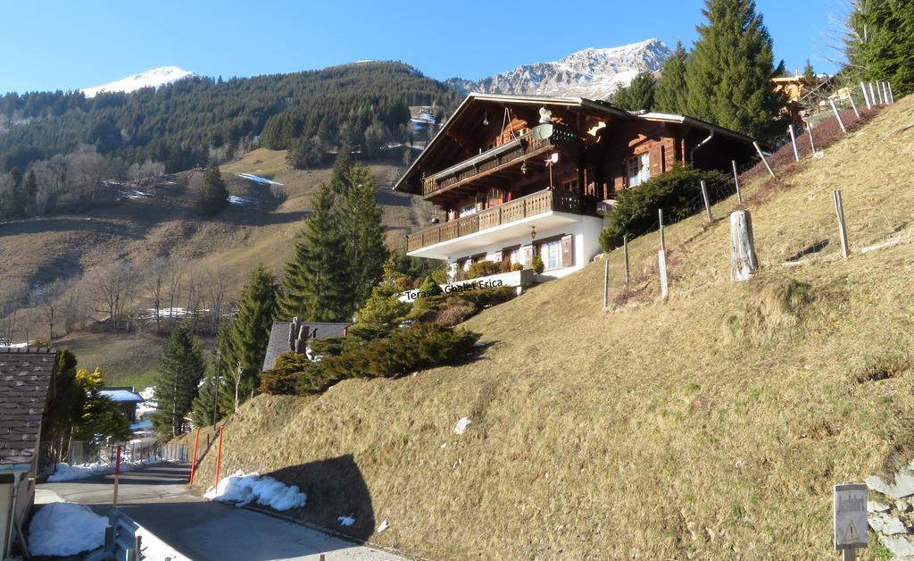 Chalet Erica Apartamento Jaun Exterior foto